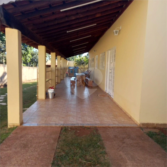 Foto REO1113953