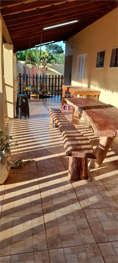 Foto REO1113953