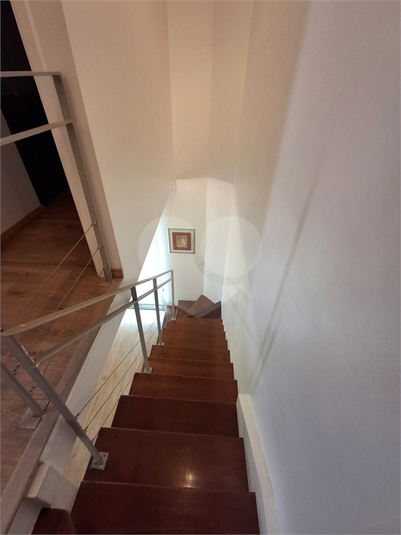 Foto REO1113961