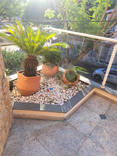 Foto REO1113965