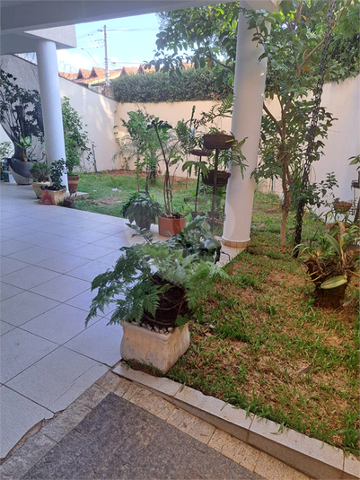 Foto REO1113965