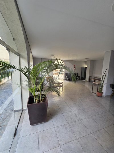 Foto REO1113971