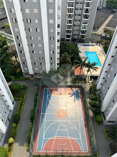 Foto REO1113973