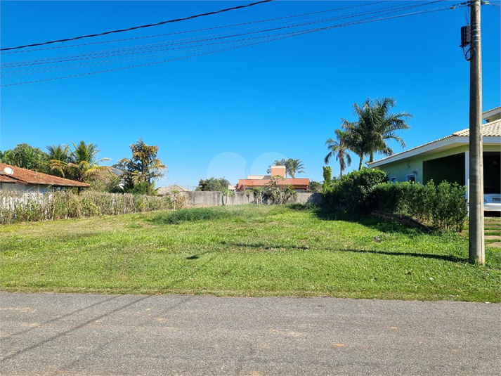 Foto REO1113975