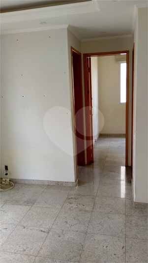 Foto REO1113976