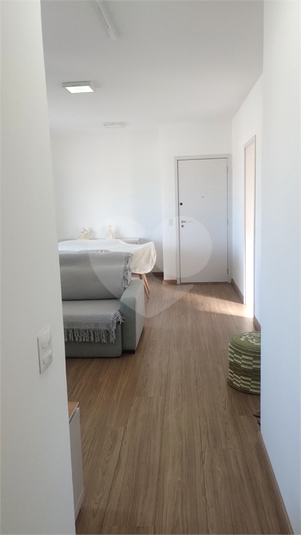 Foto REO1113988