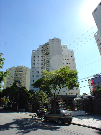 Foto REO1113989