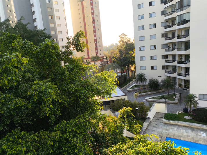 Foto REO1113989