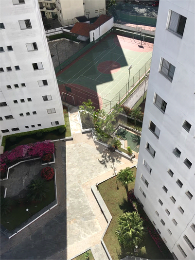 Foto REO1113989