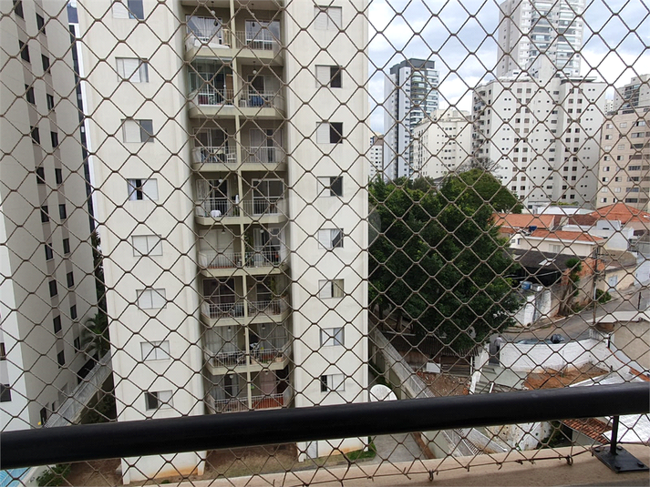 Foto REO1113992