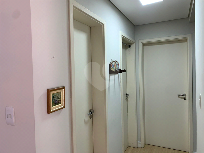 Foto REO1113999