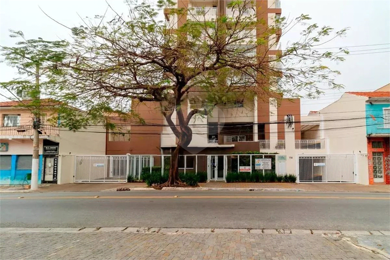 Foto REO1114001