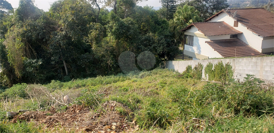 Foto REO1114018