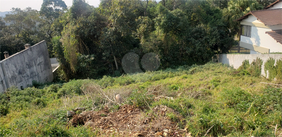 Foto REO1114018