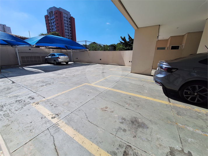Foto REO1114021