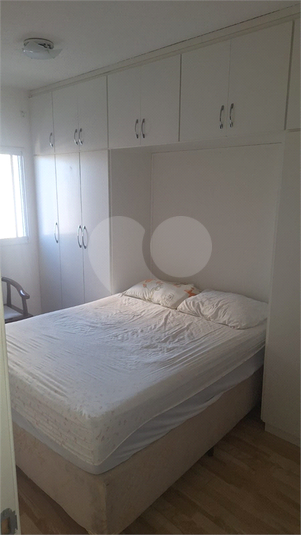 Foto REO1114048
