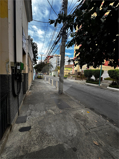 Foto REO1114050