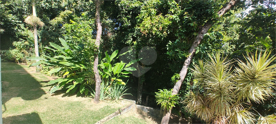 Foto REO1114055