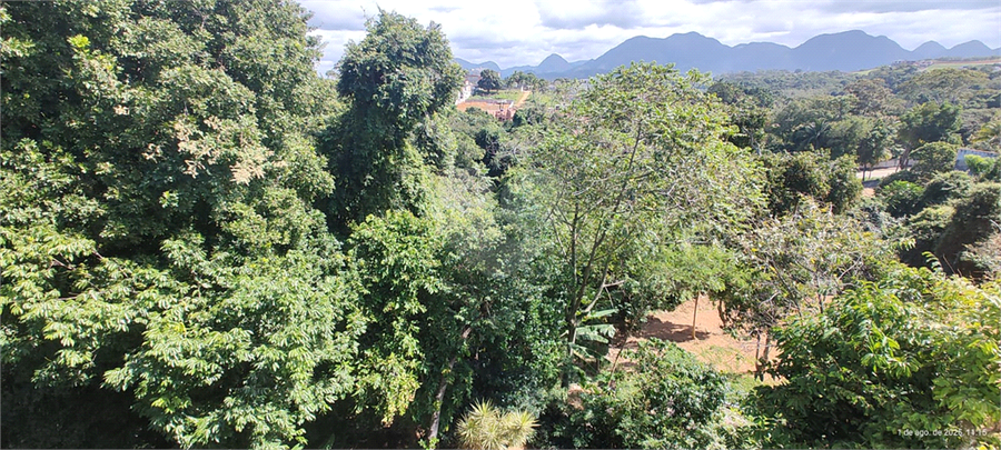 Foto REO1114055