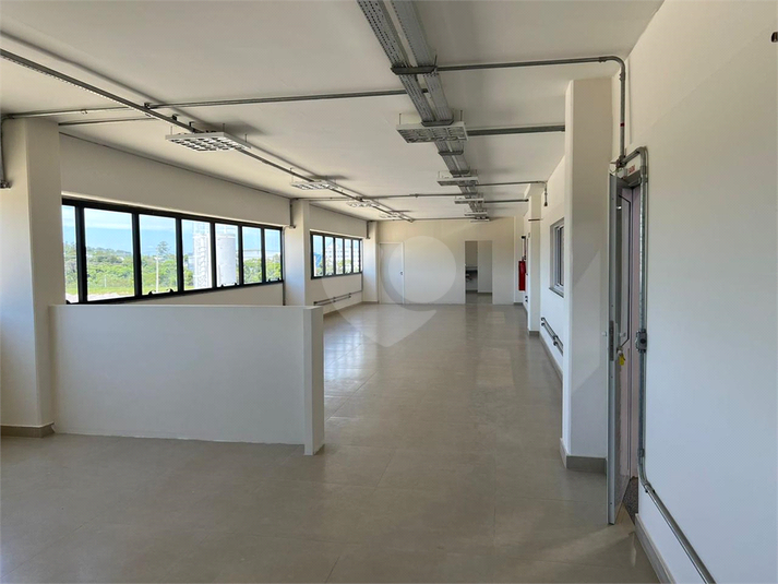 Foto REO1114067