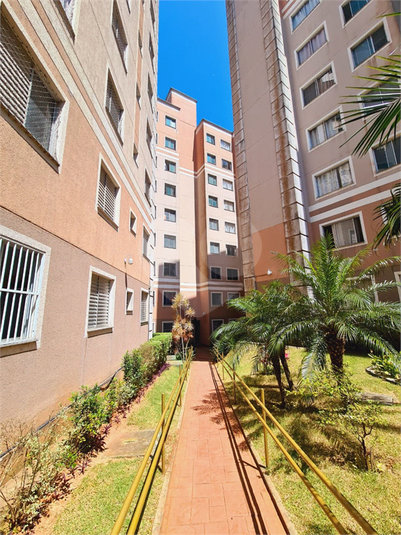 Foto REO1114075