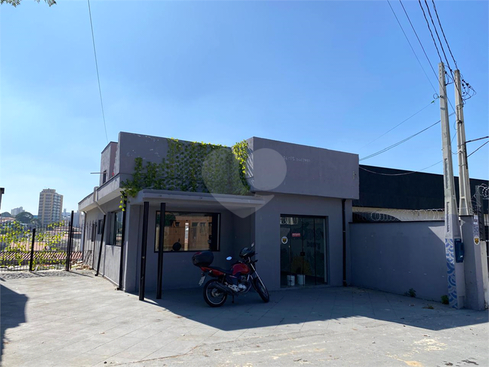 Foto REO1114079