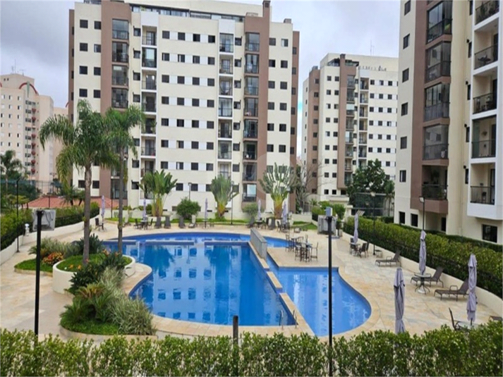 Foto REO1114089