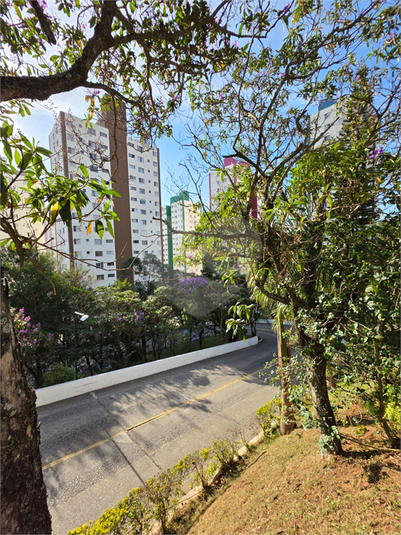 Foto REO1114091