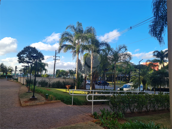 Foto REO1114096