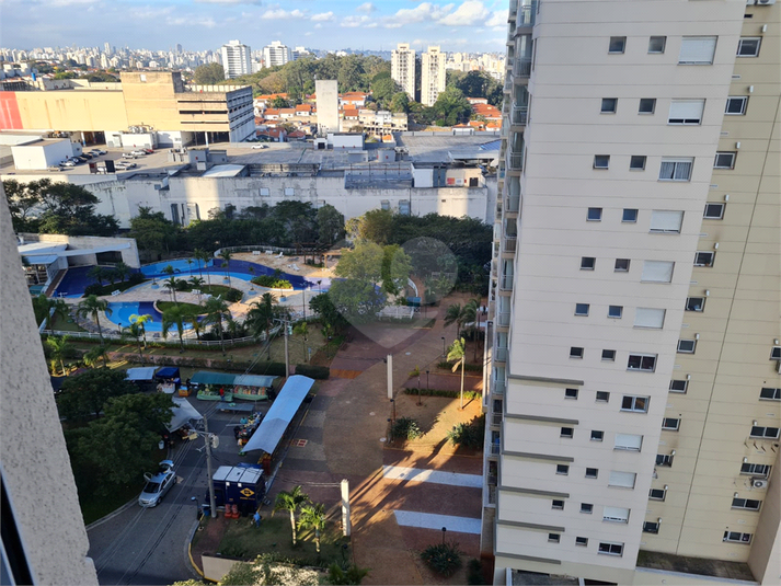 Foto REO1114096