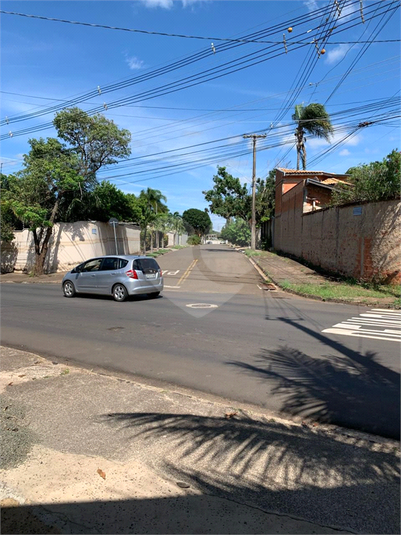 Foto REO1114105