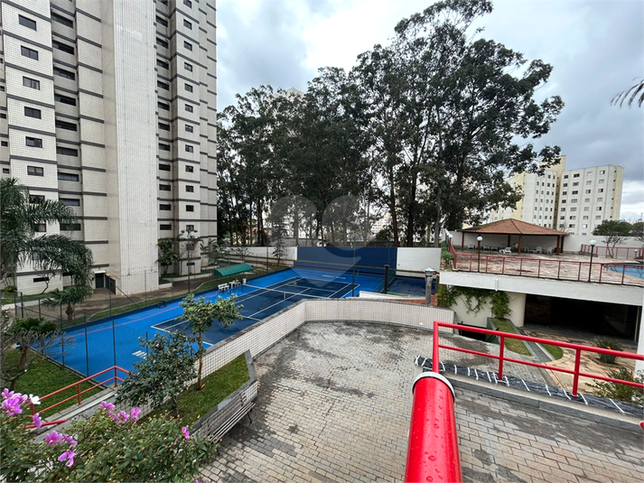 Foto REO1114118