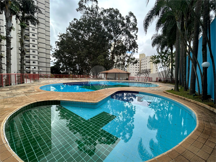 Foto REO1114118