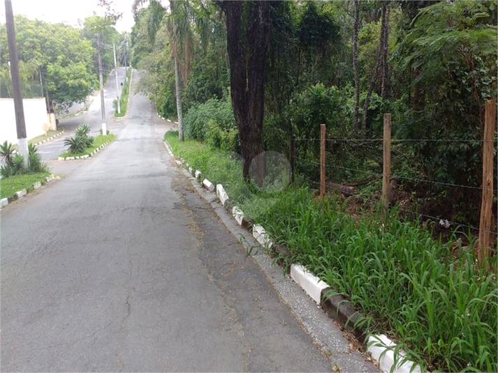 Foto REO1114136