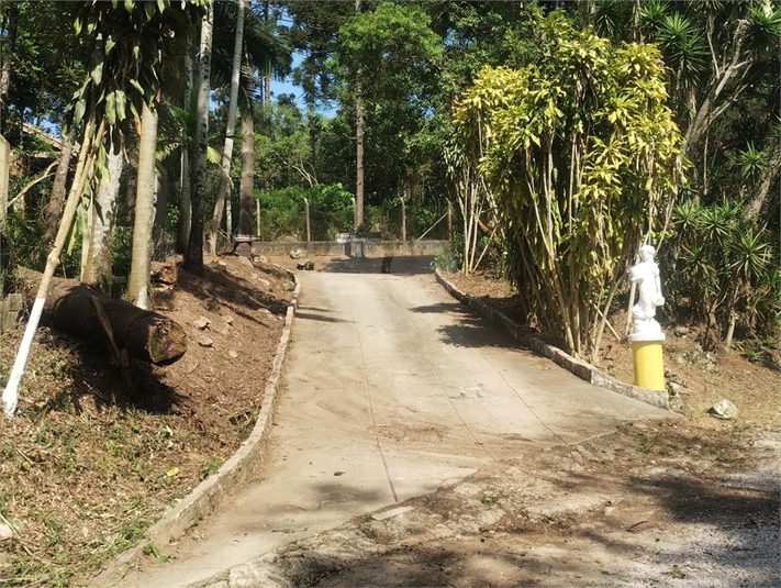 Foto REO1114139
