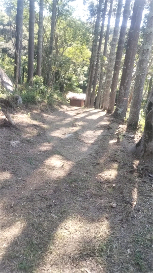 Foto REO1114139