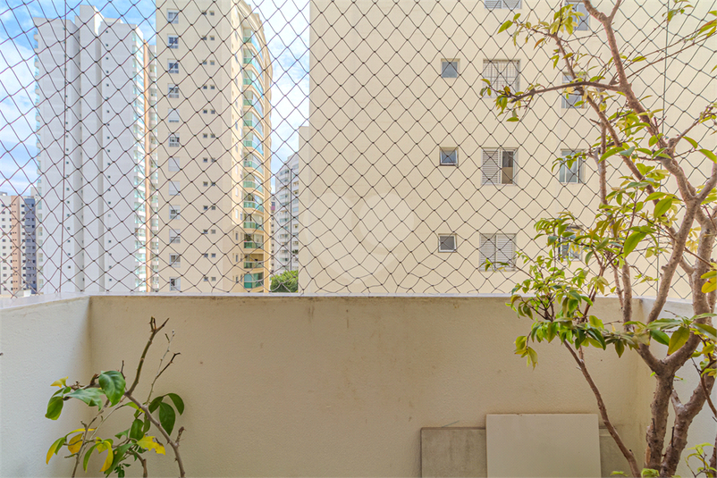 Foto REO1114145