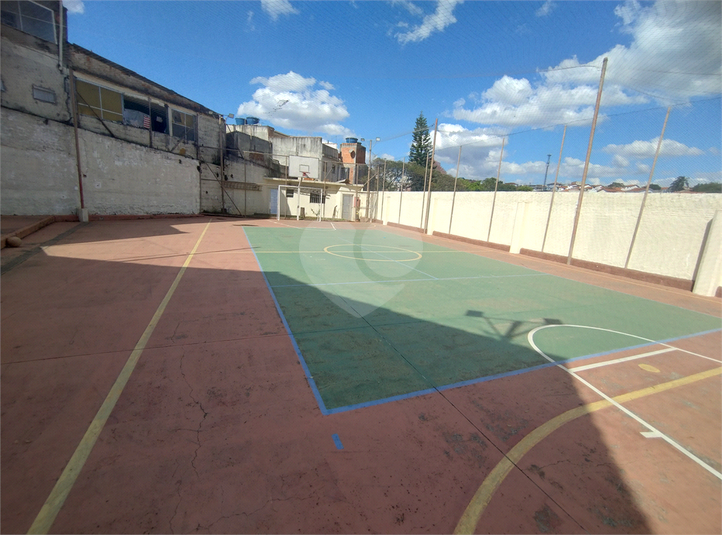 Foto REO1114157
