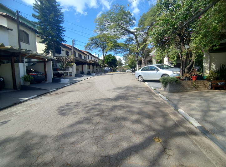 Foto REO1114157