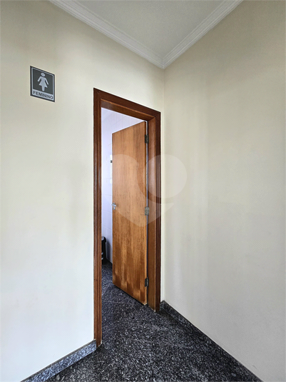 Foto REO1114163