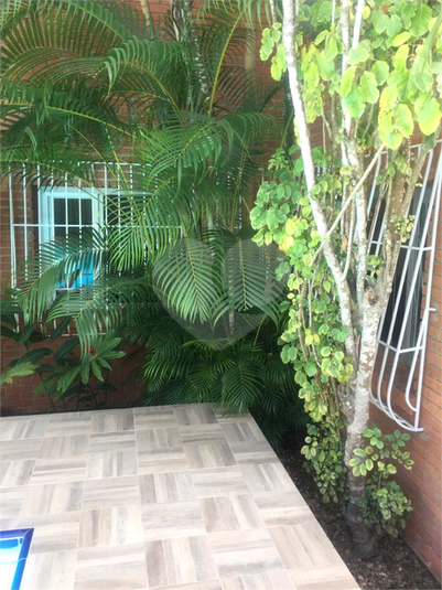 Foto REO1114168