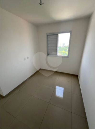 Foto REO1114169