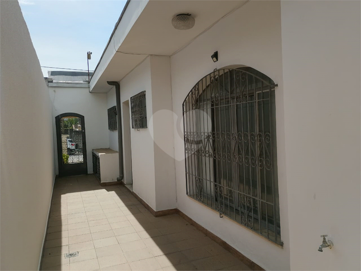 Foto REO1114171