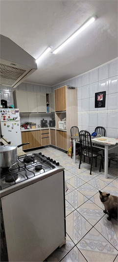 Foto REO1114173
