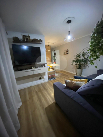Foto REO1114183