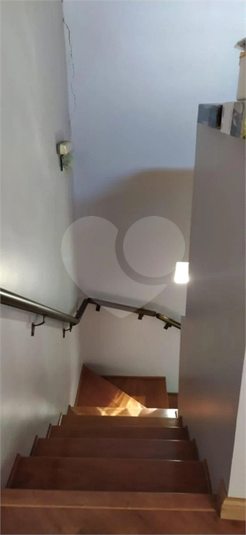 Foto REO1114185