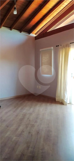 Foto REO1114185