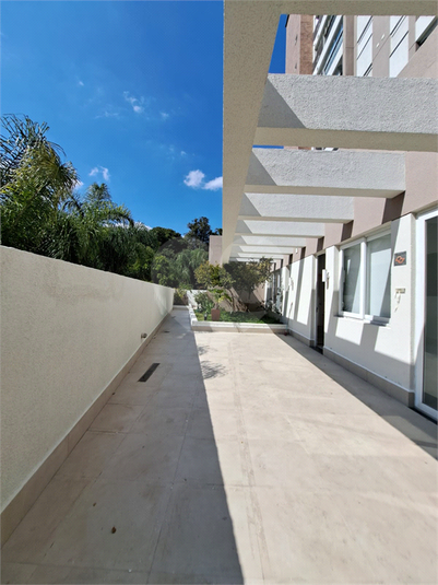 Foto REO1114187