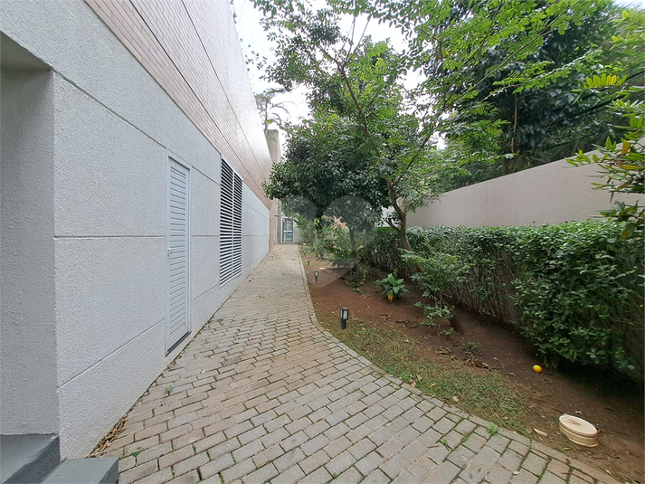 Foto REO1114187
