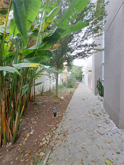 Foto REO1114187